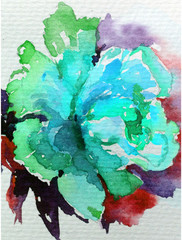 Abstract bright colored decorative background . Floral pattern handmade . Beautiful tender romantic spring single rose flower , made in the technique of watercolors from nature.