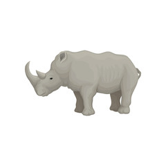 Obraz premium Rhinoceros wild animal, side view vector Illustration on a white background
