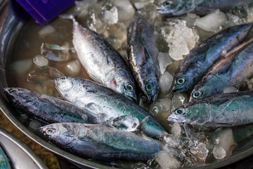 fresh fish meat  ready to sale at the market