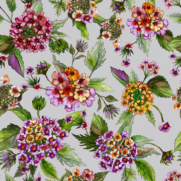 Beatiful bright lantana flowers with green leaves on light grey background. Seamless floral pattern.  Watercolor painting. Hand drawn illustration.