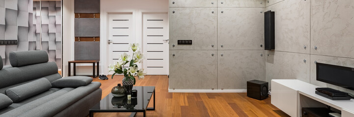 Gray sofa, table and cabinet