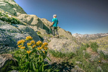 Child walking on the mountain exploring nature. Little boy hiking in scenic mountains enjoying a beautiful sunny day. Some beautiful yellow flowers in the foreground. A nice summer day on the Italian 
