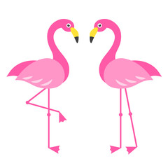 Two pink Flamingo birds isolated on white