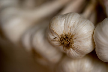 Garlic is a spice. The Very pungent. Thailand is very popular. Close-up technique is very close.