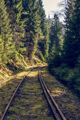 railway track in the forest