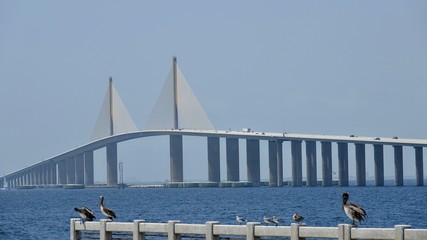 Sunshine Skyway Brücke in Florida