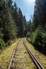 railway track in the forest with sunlight