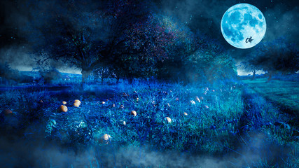 Halloween Kürbisfeld mit fliegender Hexe bei Vollmond,