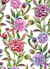 Beautiful peony flowers with buds and leaves in straight lines on white background. Seamless floral pattern. Watercolor painting. Hand drawn illustration.