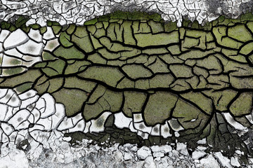 cracked earth texture