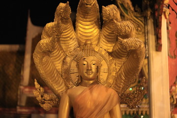 Buddha from Wat Bukkalo in Bangkok, Thailand