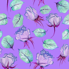 Beautiful bright roses and leaves on vivid lilac background. Seamless floral pattern. Watercolor painting. Hand drawn and painted illustration