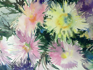 Abstract bright colored decorative background . Floral pattern handmade . Beautiful tender romantic spring bouquet of aster flowers, made in the technique of watercolors from nature.