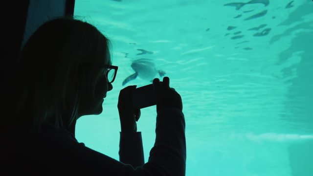 A visitor to the zoo takes pictures of the underwater inhabitants through the transparent wall of the pool