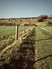 Obraz premium Footpath on the village