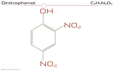 Large and detailed infographic of the molecule of Dinitrophenol.