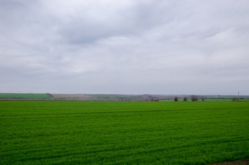 green field on a cloudy sky background