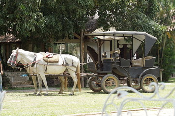 2 horses and cart