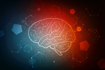 Human brain 2d illustration