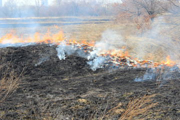 fire in the spring meadow