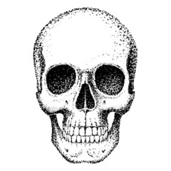 human skull, graphics