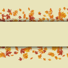Autumn background with yellow leaves. Vector.