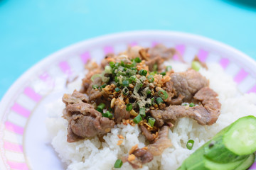 Fried Rice with Pork, Garlic