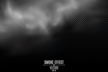 Thick smoke on a transparent dark background. Light mist. Smoke from the fire. Thick cloud. Steam on top. Smoke effect for your design. Vector illustration