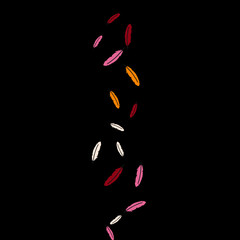 Colorful feathers. Prints of Colored feathers Design for Goods for Pets. Simple Pattern for Print, Logo or Poster. Vector Confetti Background.