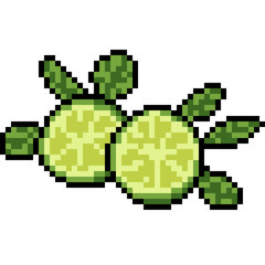 Fototapeta premium vector pixel art lime slice