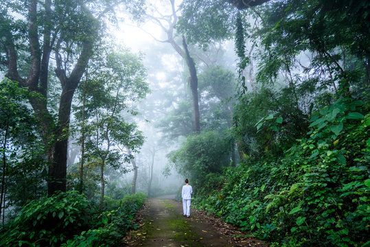 Woman Walking Vipassana Meditation In A Quiet Misty Forest