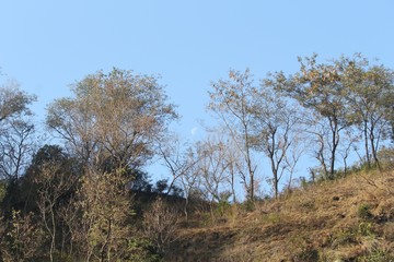 Himalayan Travel dairy  