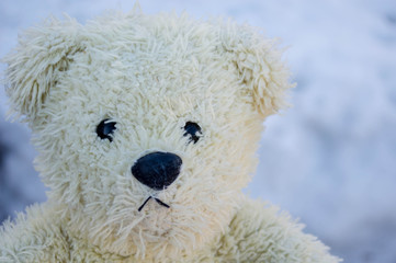 
toy polar bear muzzle close-up 