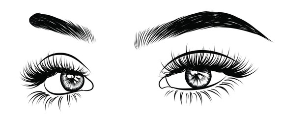 Illustration of woman's sexy luxurious eye with perfectly shaped eyebrows and full lashes. Hand-drawn Idea for business visit card, typography vector. Perfect salon look.