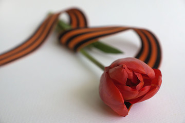 Saint George ribbon with order of the Great Patriotic and red carnations on gray