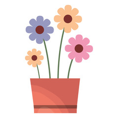 potted flowers interior decoration ornament vector illustration