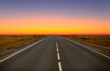 Fototapeta na wymiar An empty asphalt road in the steppe at sunset. The Astrakhan region. Russia.