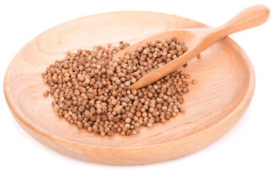 Coriander seeds in wood spoon on white background