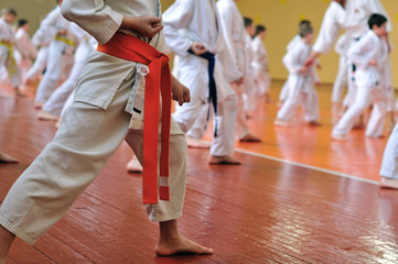 Kids training on karate-do. Banner with space for text. For web pages or advertising printing. Photo without faces, from the back.