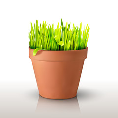 Grass in a clay peat pot isolated on white background. Realistic mesh design. Vector illustration. Season symbol object.
