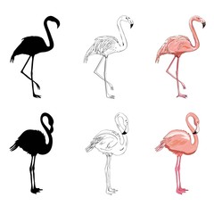 Hand drawing flamingos. Vector illustration