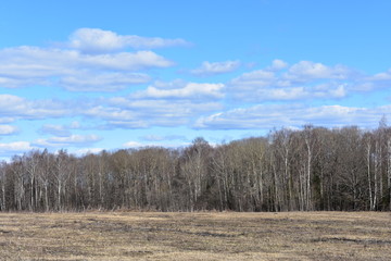 landscape early spring forest field sky clouds