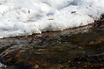 Early spring landscape of the snow in the forest. Melt water in a spring stream on a sunny day in the forest.