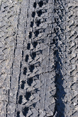 Tire marks on wet ground, vertical background texture