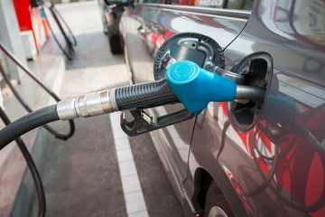 Fototapeta premium Car refueling on petrol station.