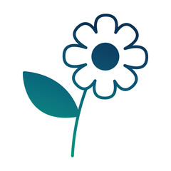 flower petals decoration natural image vector illustration  degraded color