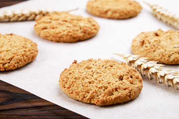 Healthy vegan integral cookies made of hazelnut powder on baking paper, dark brown wooden table background. Home made vegetarian gluten free snack w/ nuts. Decorative wheat spica. Close up, copy space