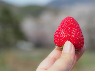 Red strawberry on blurred background