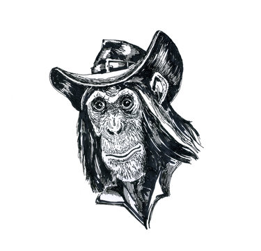 A monkey in a hat.