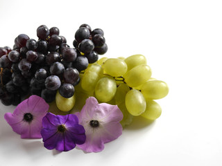 Black and green grapes, lilac flowers isolated on a white background. 